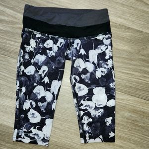 4-5 girls champion Capri